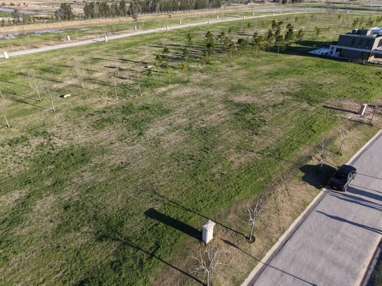 Venta Lote Pride Canning